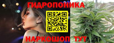 МДПВ Новокубанск