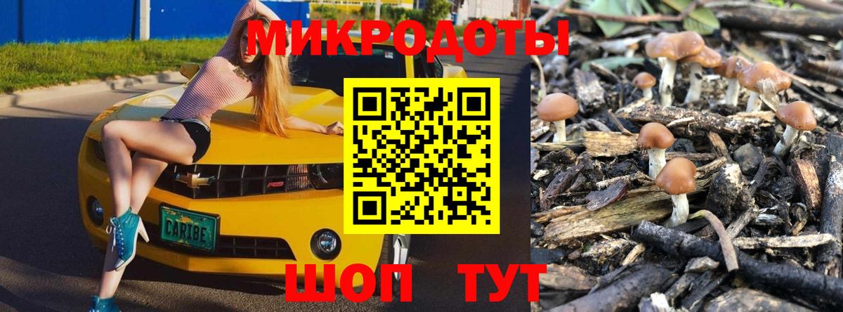 Усолье-Сибирское  Галлюциногенные грибы GOLDEN TEACHER  Вход с VPN 